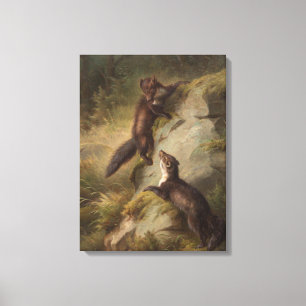 Two Pine Martens on a Rock in the Forest Canvas Print