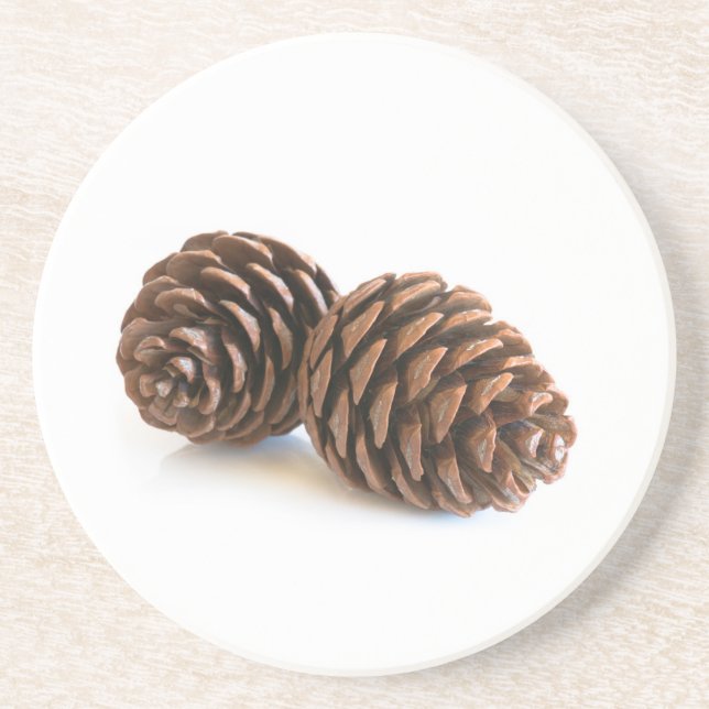 Two pinecones coaster (Front)