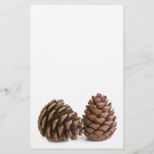 Two pinecones flyer