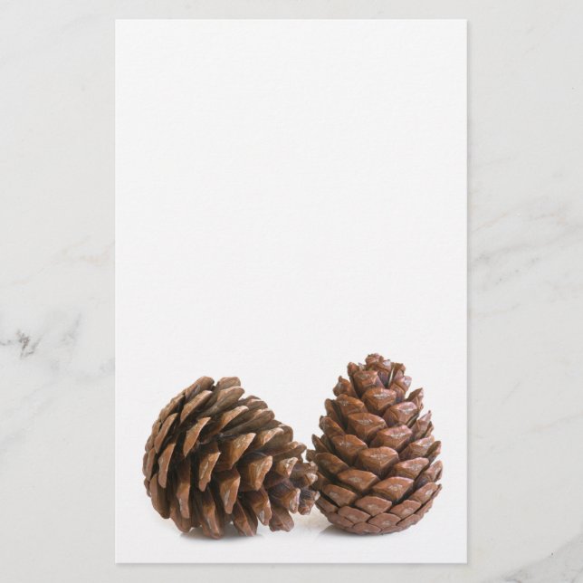 Two pinecones flyer (Front)