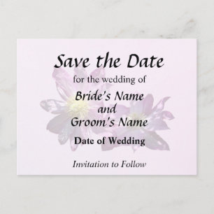 Two Pink Clematis Announcement Postcard