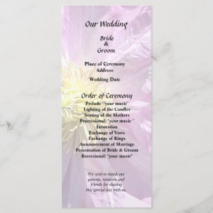 Two Pink Clematis Program