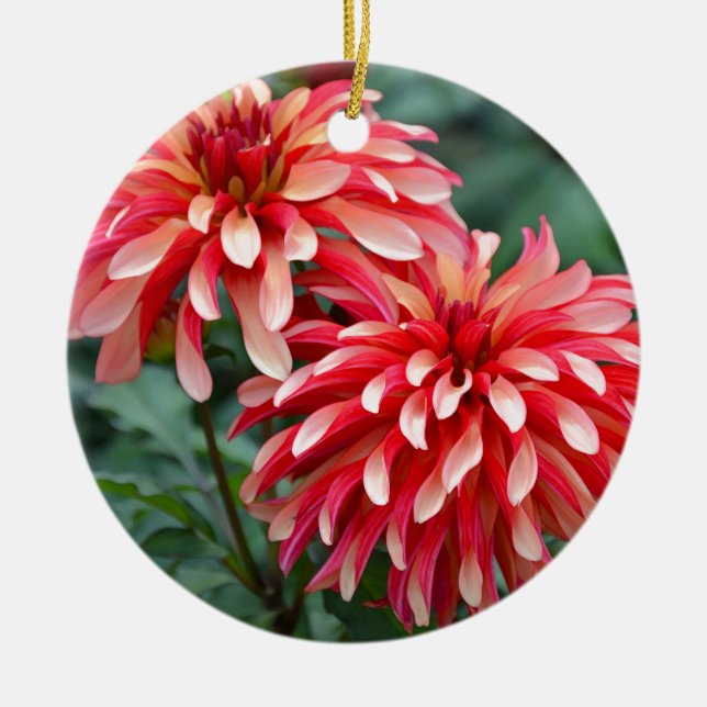 Two pink dahlia flowers ceramic ornament (Front)