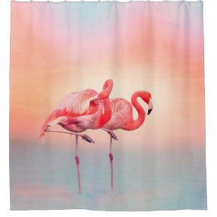 Two Pink flamingos in the water at sunsetflamingo,