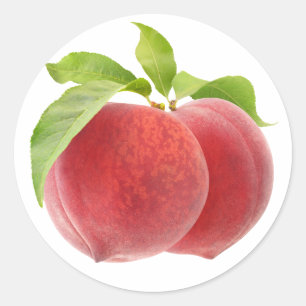 Two pink peaches classic round sticker
