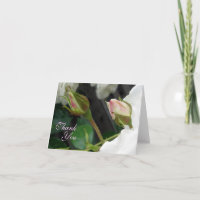 Two Pink Rose Buds Thank You Note Card