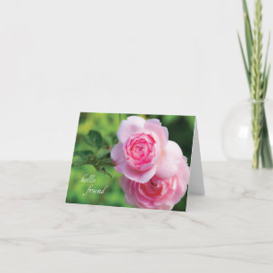 Two Pink Roses, hello friend - Note Card
