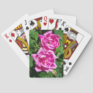Two Pink Roses playing cards