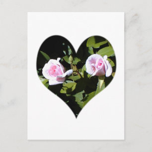Two pink roses within a heart postcard