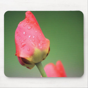 Two Pink Tulips Mouse Pad
