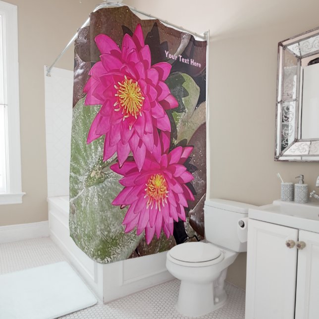 Two Pink Water Lilies (In Situ)