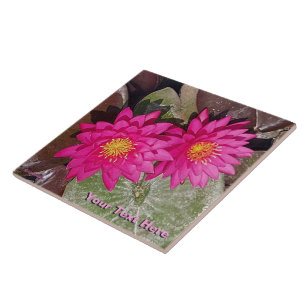 Two Pink Water Lilies Tile