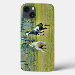 Two Playful Pinto Paint Horses Equine Art Design 2 iPhone 13 Case