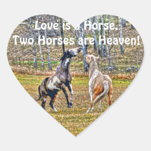 Two Playful Pinto Paint Horses Equine Art Design Heart Sticker