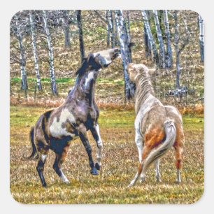 Two Playful Pinto Paint Horses Equine Art Design Square Sticker