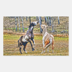 Two Playful Pinto Paint Horses Equine Art Design Sticker