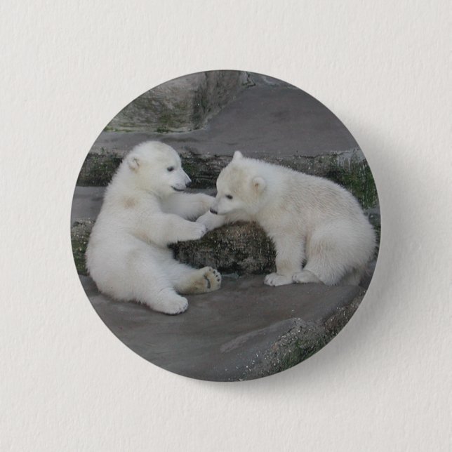 Two Polar Bear Cubs 2 Inch Round Button (Front)