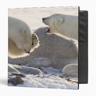 Two Polar Bears Binder