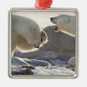 Two Polar Bears Metal Ornament