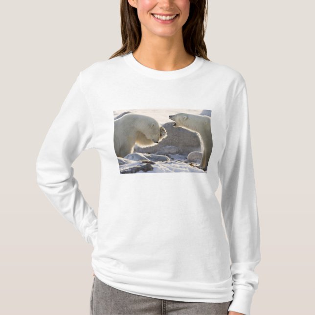 Two Polar Bears T-Shirt (Front)