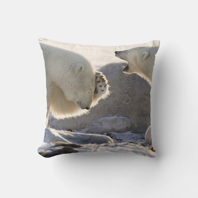 Two Polar Bears Throw Pillow (Front)