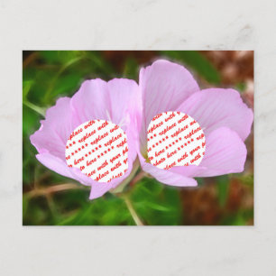 Two Poppies Frames for Two Photos Postcard
