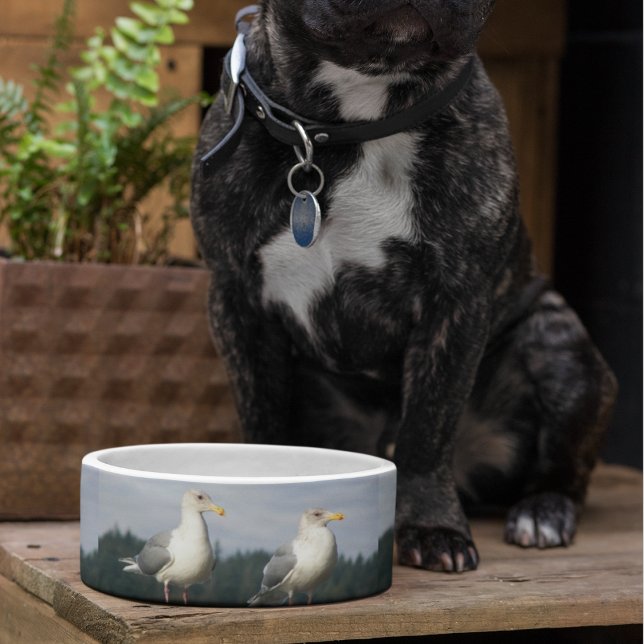 Two Posing Seagulls Pattern Bowl (In Situ)