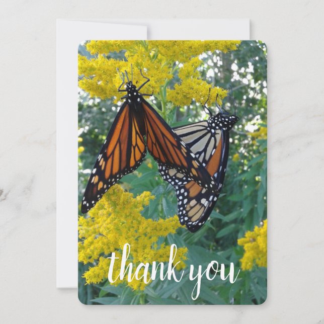 Two pretty butterflies thank you card (Front)