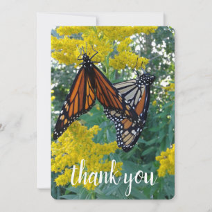Two pretty butterflies thank you card