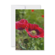 Two Pretty Opium Poppies