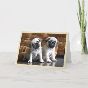Two Pugs Greeting Card