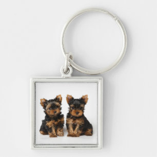 Two puppies keychain
