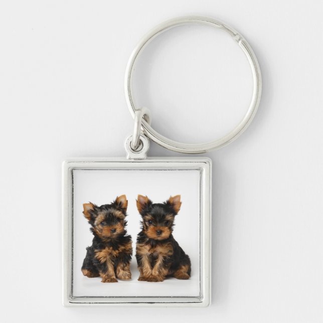 Two puppies keychain (Front)