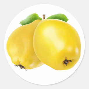 Two quince fruits classic round sticker