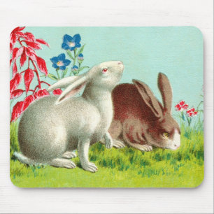 Two rabbits mouse pad