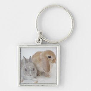 Two Rabbits   Netherland Dwarf & Holland Lop Keychain