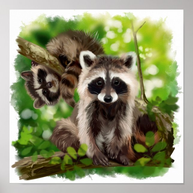 Two raccoons are sitting on the branches of a tree poster (Front)