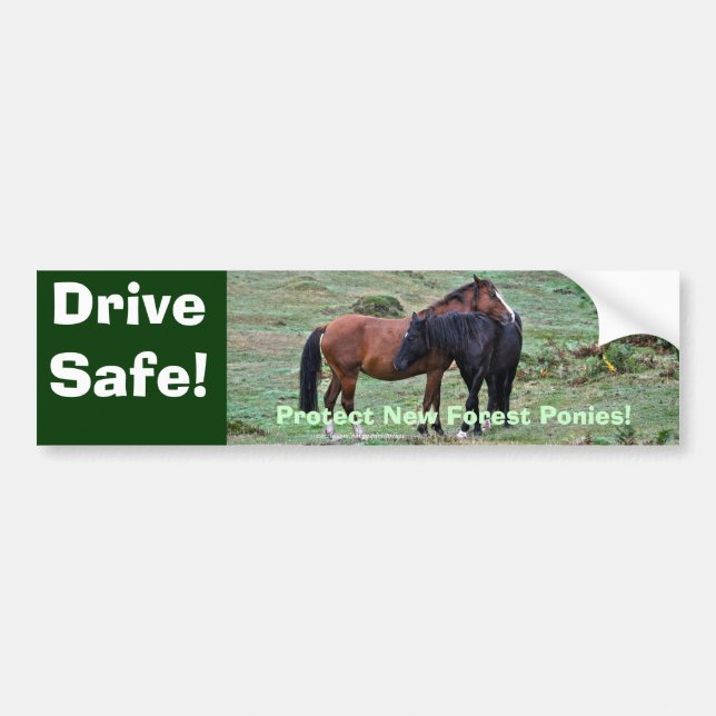 Two Rare, Wild New Forest Pony Friends in England Bumper Sticker (Front)