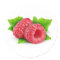 Two raspberries with leaves