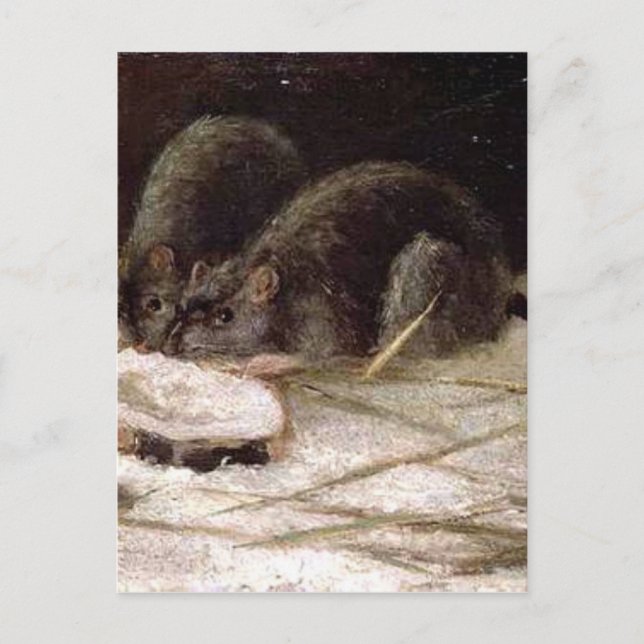 Two Rats by Vincent van Gogh Postcard (Front)