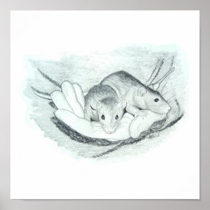Two rats in the hand poster