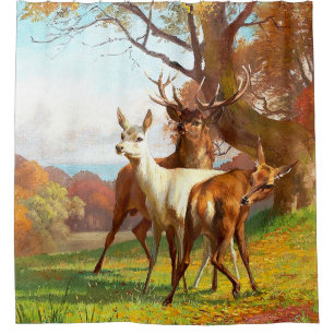 Two Red And White Deer In The Forest
