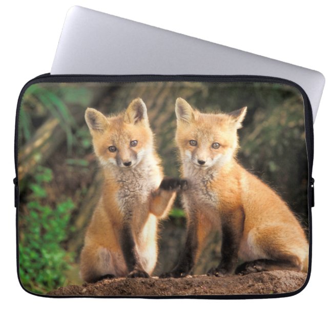 Two Red Fox Pups in Front of Their Den Laptop Sleeve (Front)