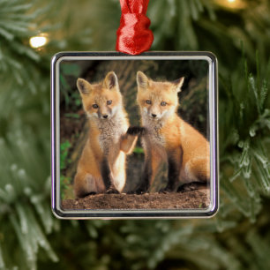 Two Red Fox Pups in Front of Their Den Metal Ornament