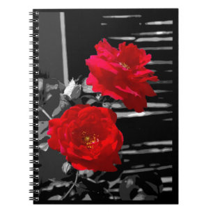 TWO RED ROSES NOTEBOOK