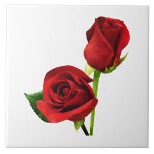 Two Red Roses Tile