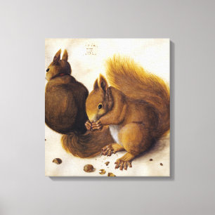 Two Red Squirrels (by Albrecht Dürer) Canvas Print
