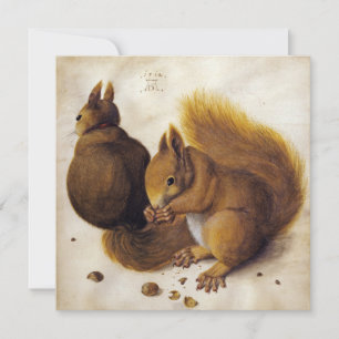 Two Red Squirrels (by Albrecht Dürer) Card