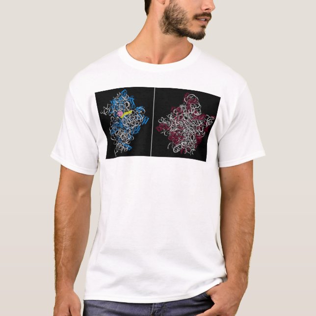 two ribosomal subunits with trna and mrna pieces T-Shirt (Front)