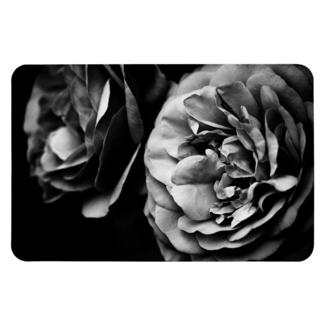 two roses magnet (Horizontal)